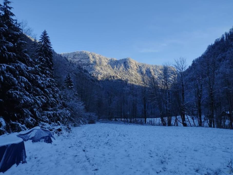 Chalet 8 Personnes + Grand Terrain Et Riviere Entremont Εξωτερικό φωτογραφία